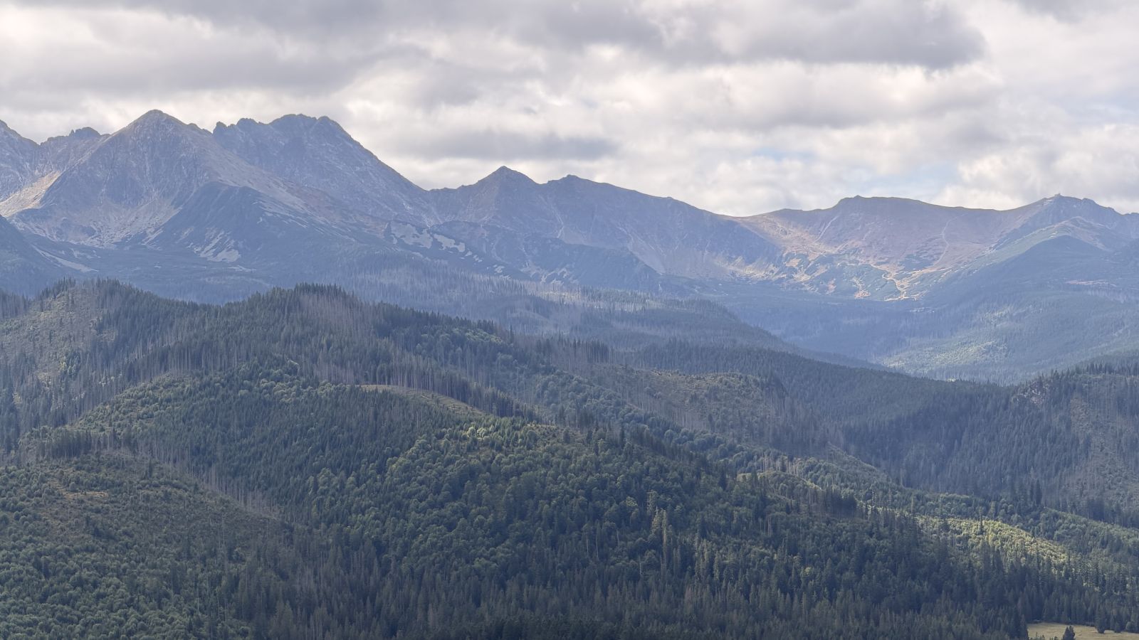 Panorama Tatr nad zalesionymi wzgórzami, widok z wieży Sky Walk w Poroninie